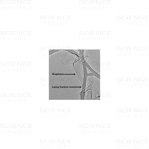 A typical TEM image of graphene sheets freely suspended on a lacey carbon TEM grid.